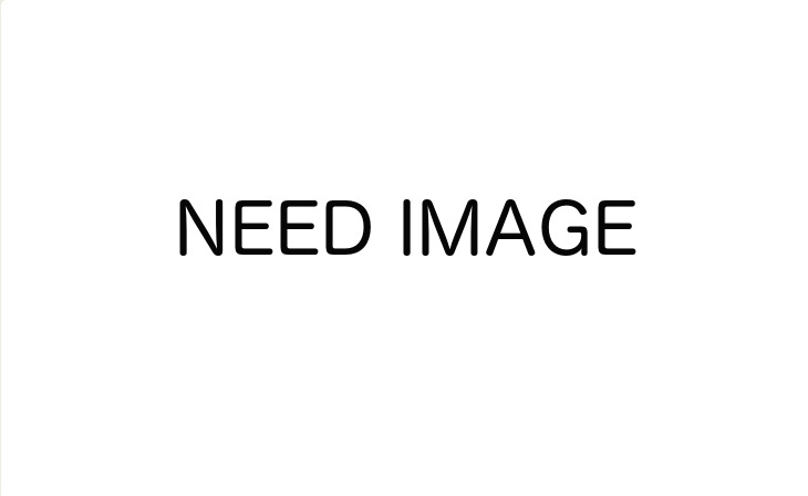 NEED IMAGE